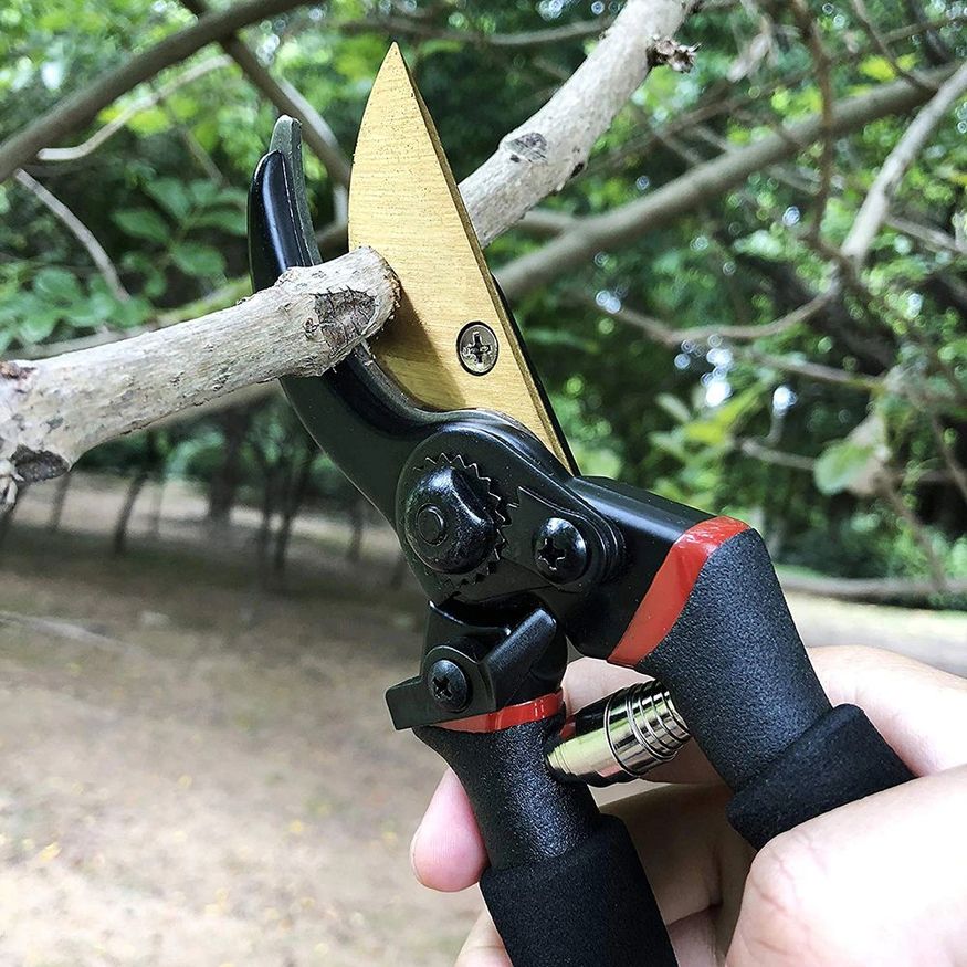 Kéo cắt tỉa là vật dụng phải có trong túi của bạn mỗi khi bạn bước vào vườn.