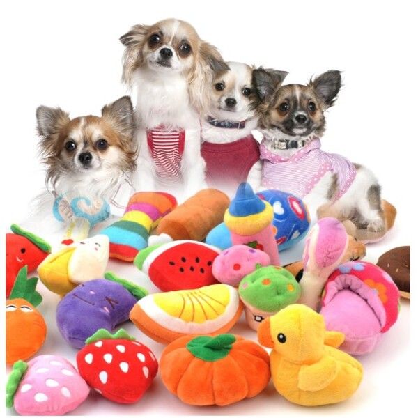 Top 10 mẫu đồ chơi cho thú cưng Trung Quốc HOT nhất thị trường
