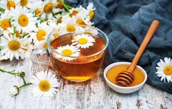 Những tác dụng tuyệt vời của trà hoa cúc mật ong Trung Quốc đối với sức khỏe